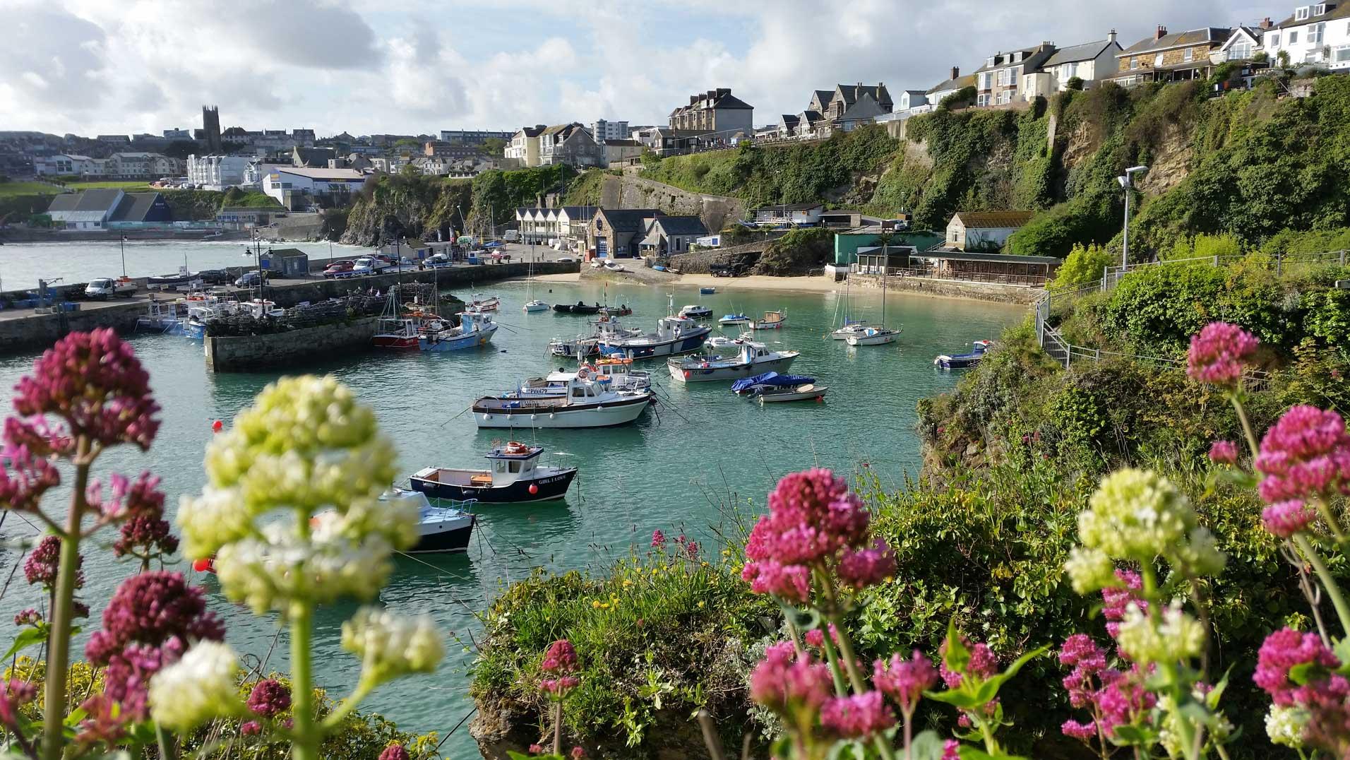 Newquay harbour through flowers.